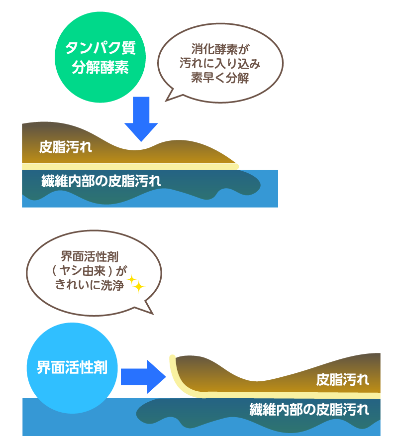 消化酵素がしつこい汚れを瞬時に分解